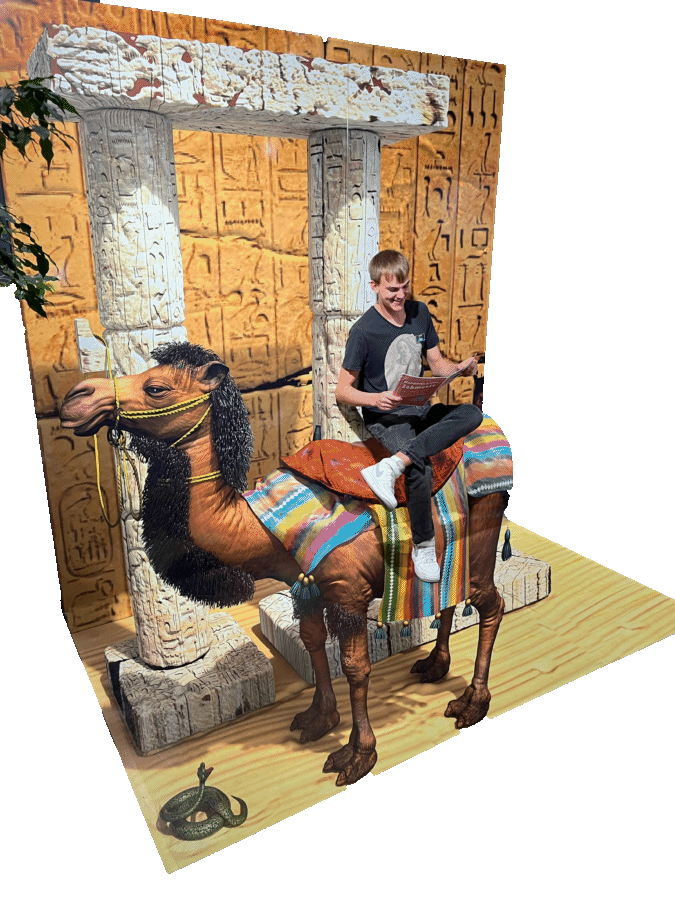 Kamelreiten in Hamburg – 3D TrickArt